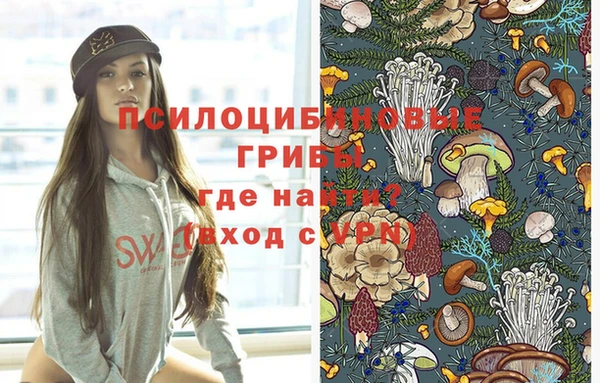 прущие грибы Беломорск