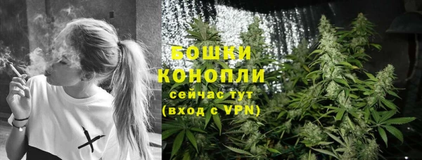 ПСИЛОЦИБИНОВЫЕ ГРИБЫ Балахна