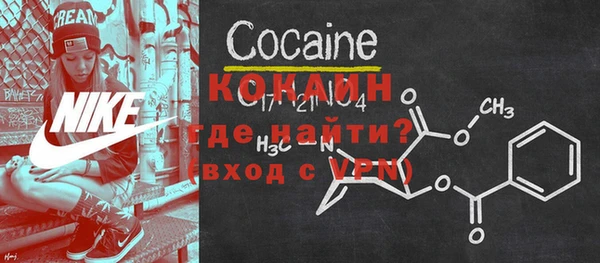прущие грибы Беломорск