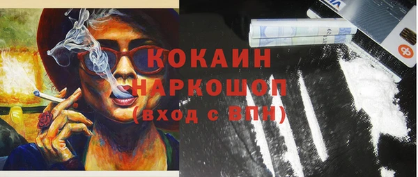 прущие грибы Беломорск