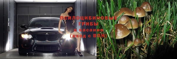 ПСИЛОЦИБИНОВЫЕ ГРИБЫ Балахна