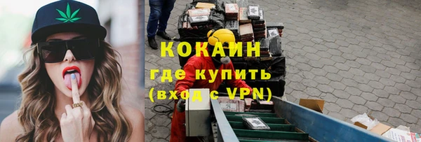 прущие грибы Беломорск